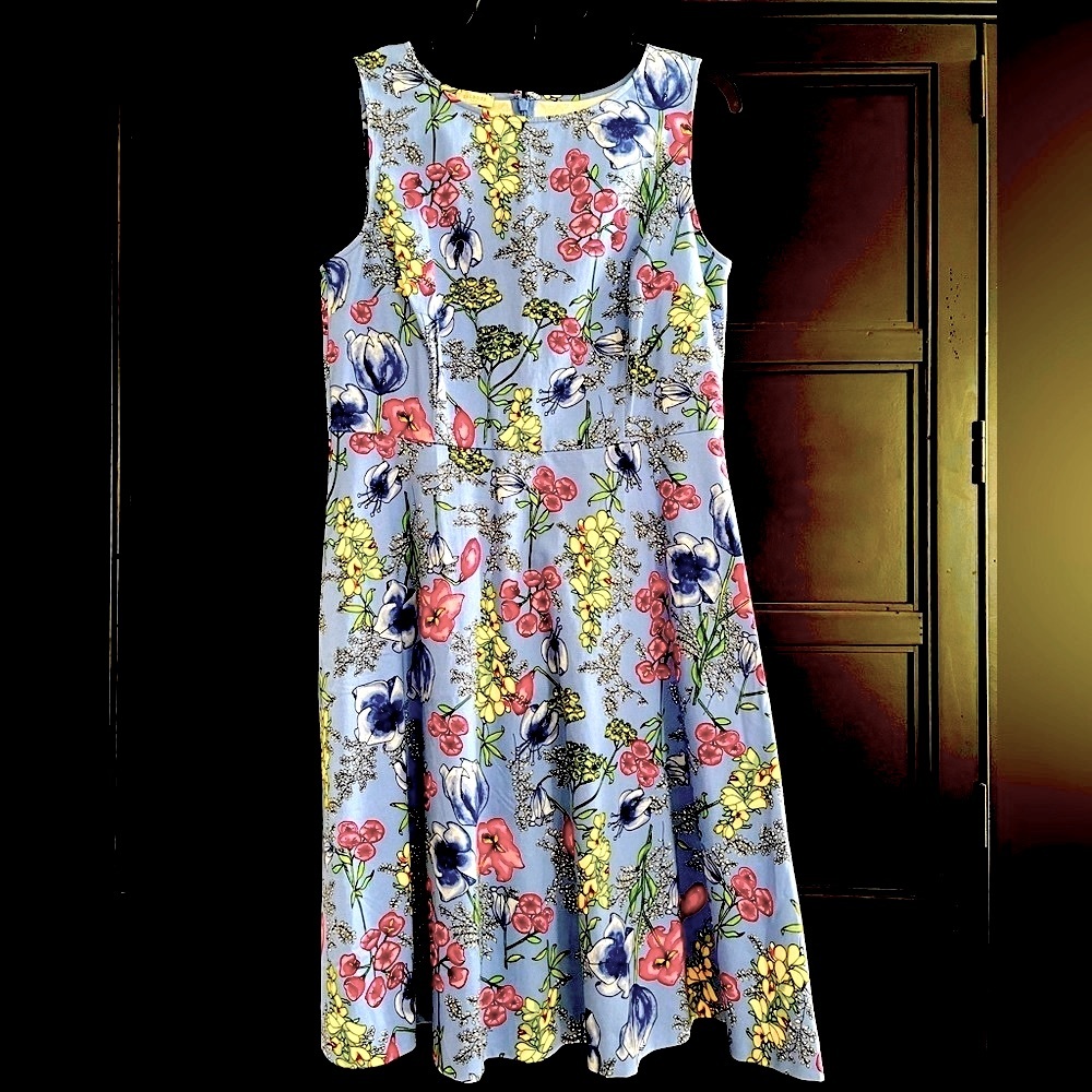 Talbots Blue Floral Fit & Flair Summer Wedding Vacation Cocktail Dress Size 10